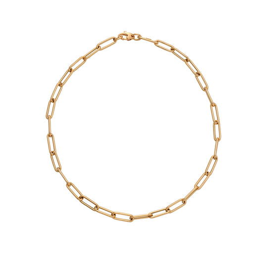 Lynx Oval - 18kt Yellow Gold Paper Clip Necklace